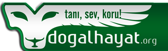 Doğal Hayat Logo